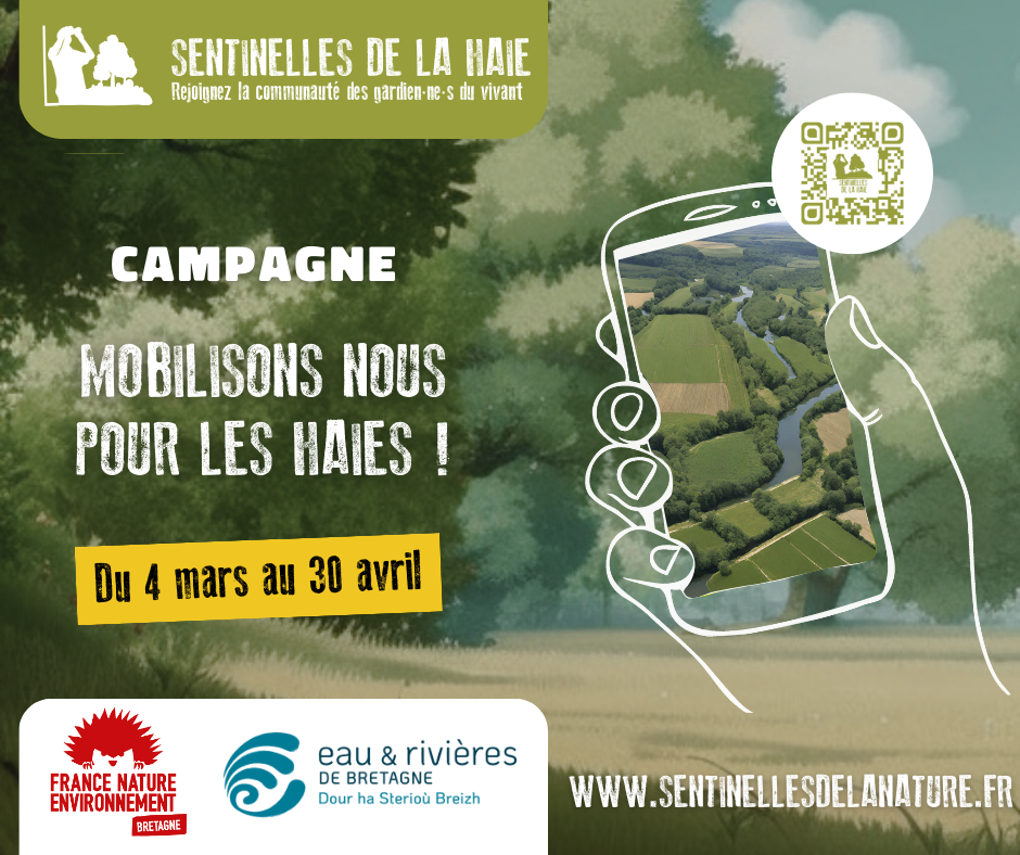 Participez à notre campagne Sentinelle de la Haie Eau et Rivières de